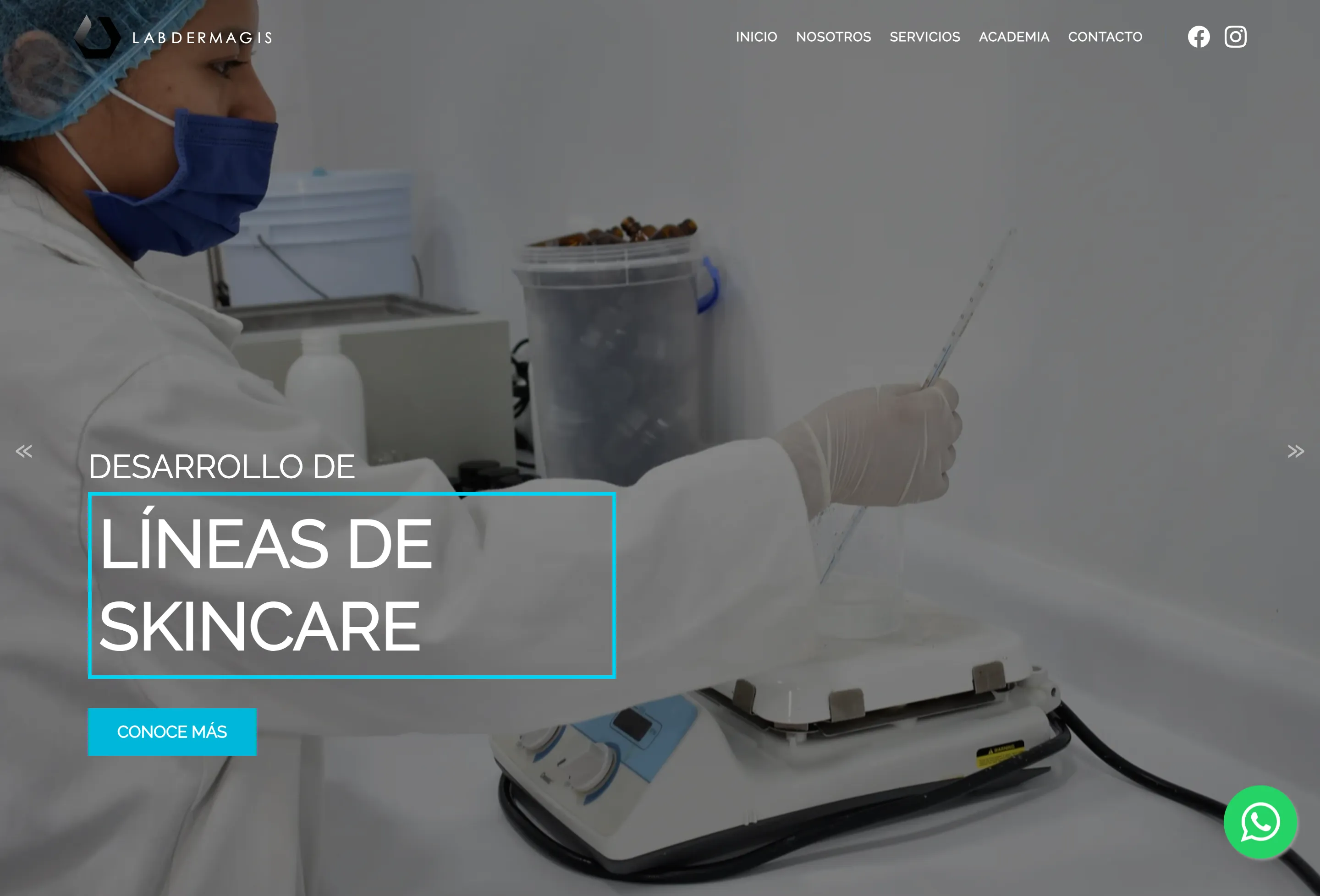 Website antes del rediseño